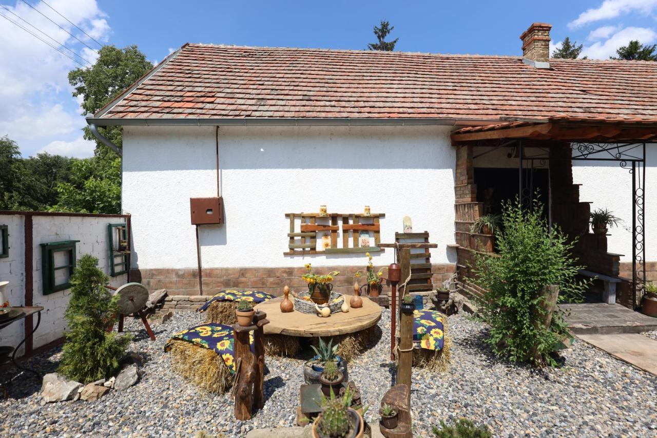 Bed and Breakfast Etno Kuca Teodora Stajicevo Zewnętrze zdjęcie