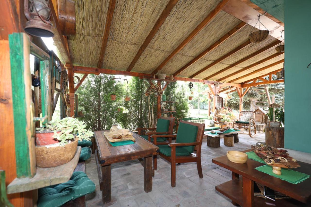 Bed and Breakfast Etno Kuca Teodora Stajicevo Zewnętrze zdjęcie