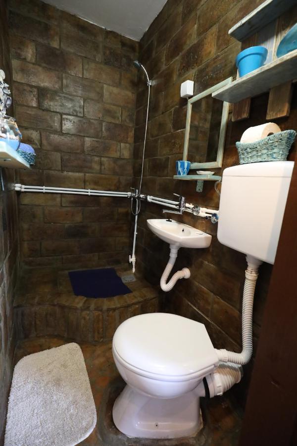 Bed and Breakfast Etno Kuca Teodora Stajicevo Zewnętrze zdjęcie