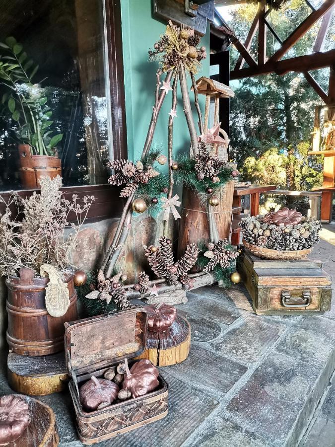 Bed and Breakfast Etno Kuca Teodora Stajicevo Zewnętrze zdjęcie
