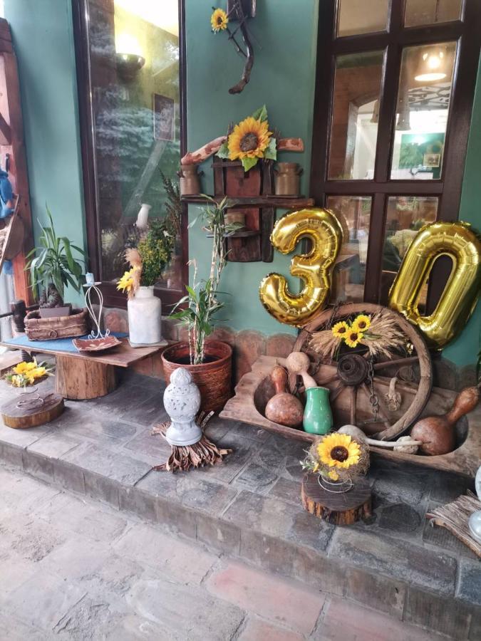 Bed and Breakfast Etno Kuca Teodora Stajicevo Zewnętrze zdjęcie