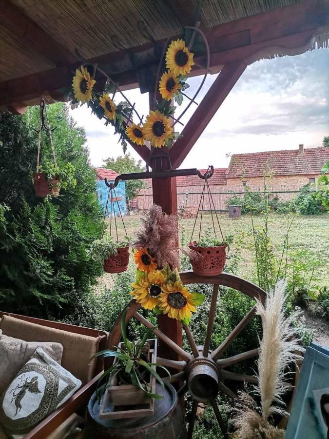 Bed and Breakfast Etno Kuca Teodora Stajicevo Zewnętrze zdjęcie